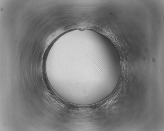 X0000059060292200510281639