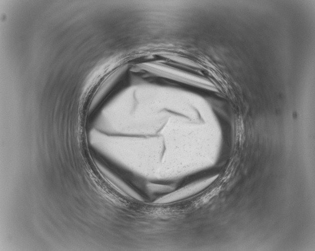 X0000059060293200510281639