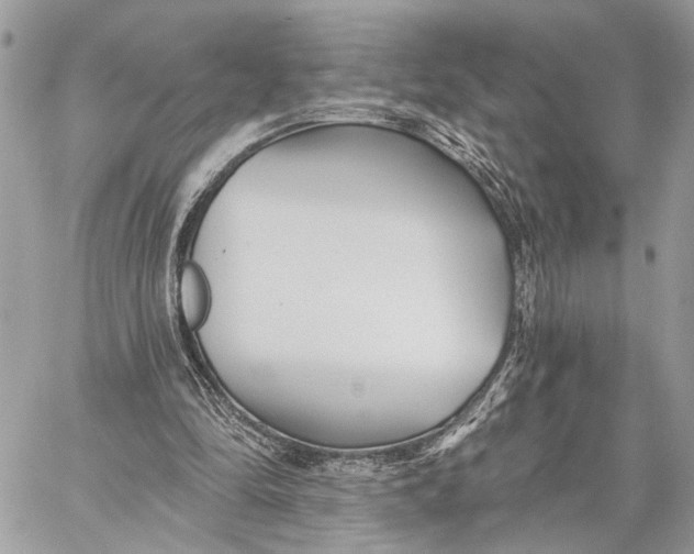 X0000059060294200510281639