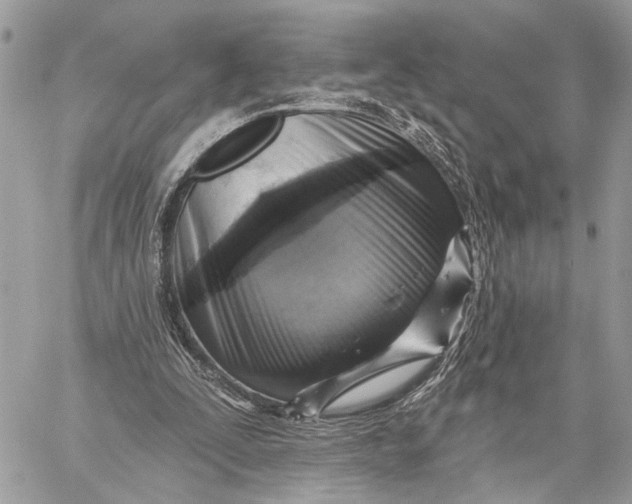 X0000059060295200510281639