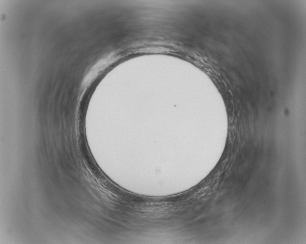 X0000059060296200510281639