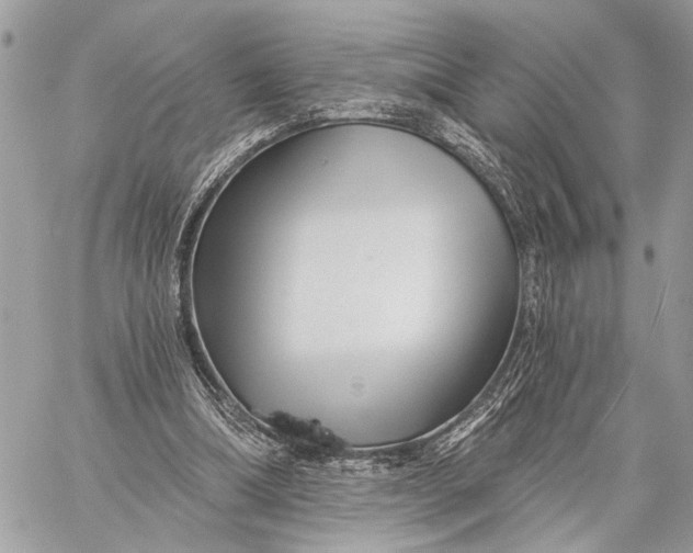 X0000059060298200510281639