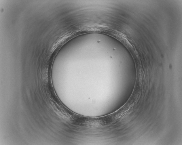 X0000059060299200510281639