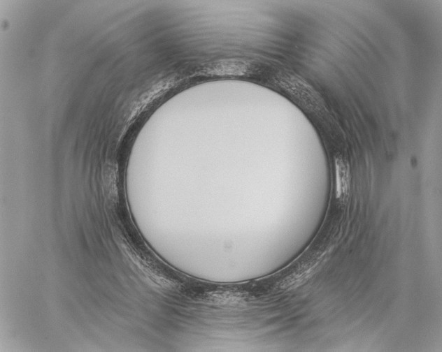 X0000059060300200510281639