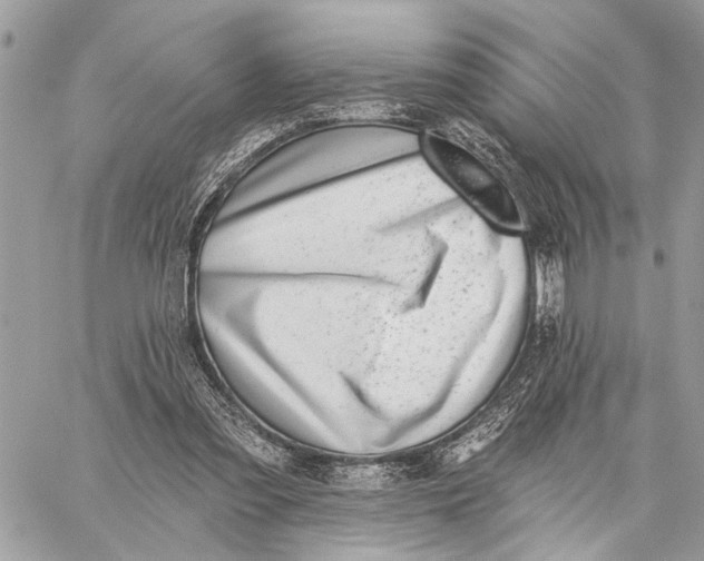 X0000059060301200510281639