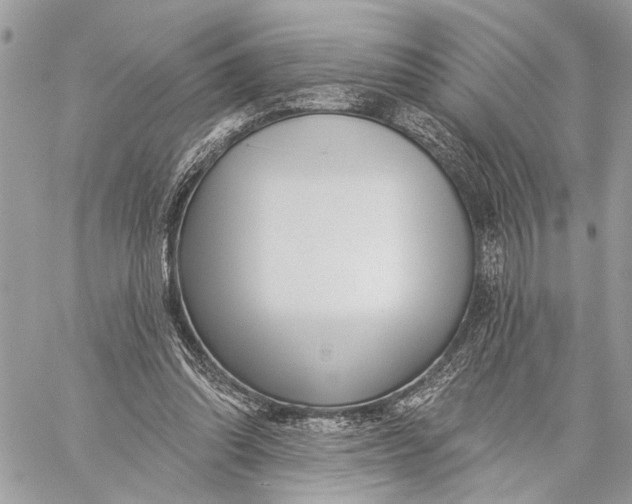 X0000059060302200510281639