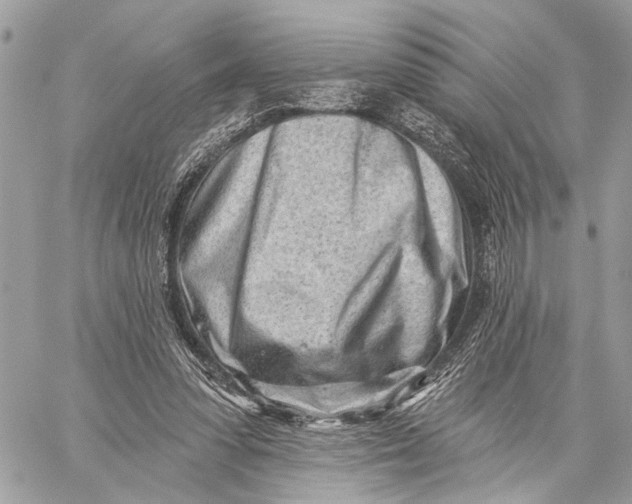 X0000059060303200510281639