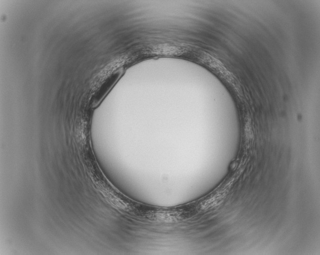 X0000059060305200510281639