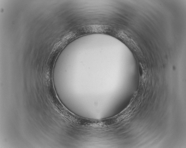 X0000059060306200510281639