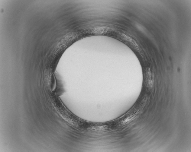 X0000059060307200510281639