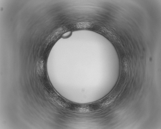 X0000059060308200510281639