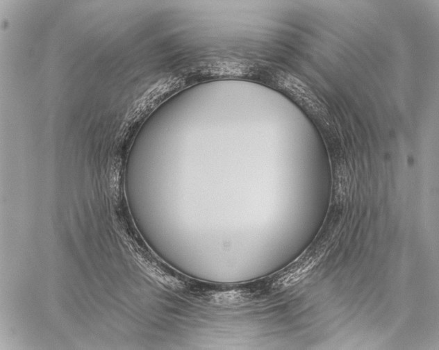 X0000059060309200510281639