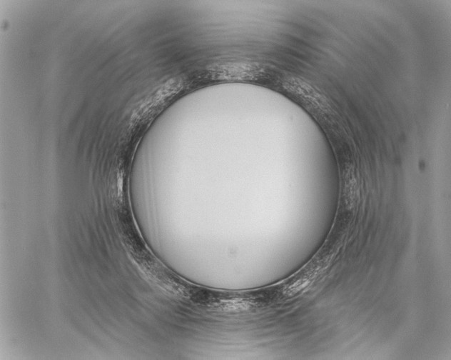 X0000059060310200510281639