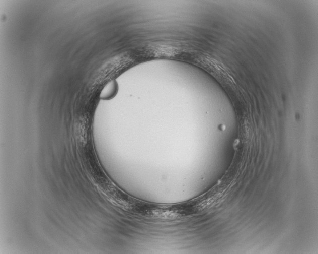 X0000059060311200510281639