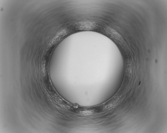 X0000059060312200510281639