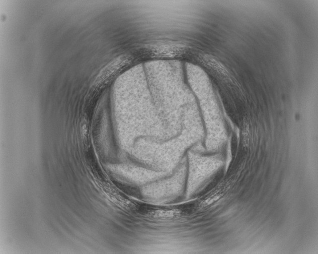 X0000059060314200510281639