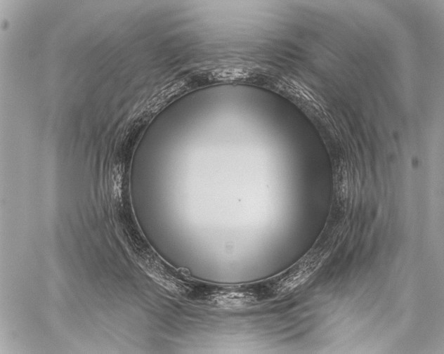 X0000059060315200510281639