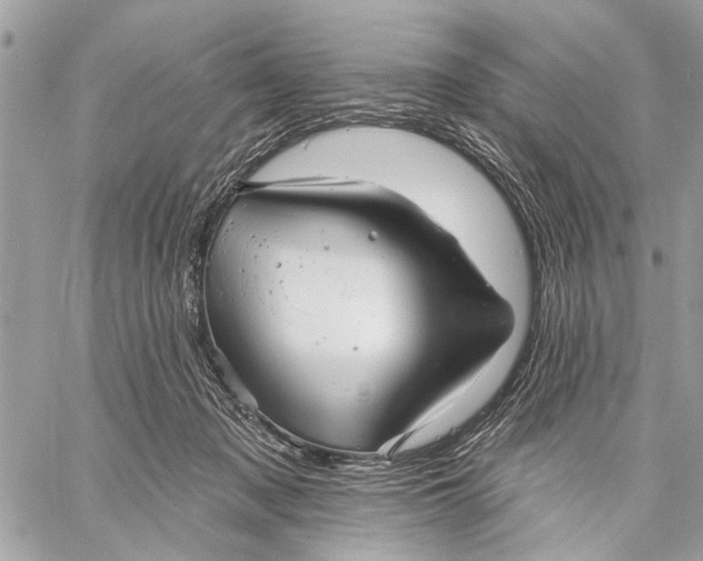 X0000059060317200510281639