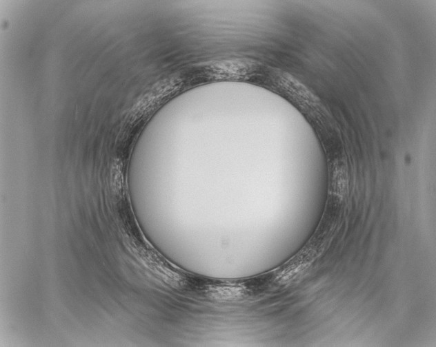 X0000059060318200510281639