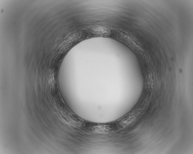 X0000059060320200510281639