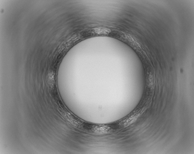 X0000059060321200510281639