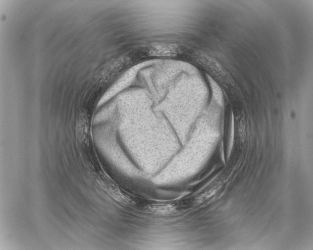 X0000059060322200510281639