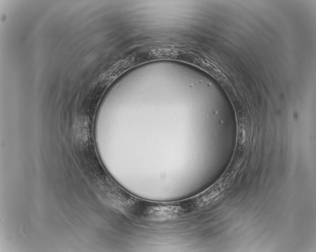 X0000059060323200510281639