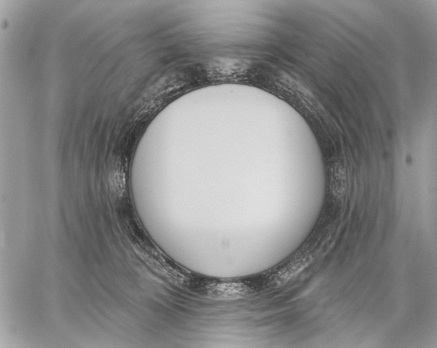 X0000059060324200510281639