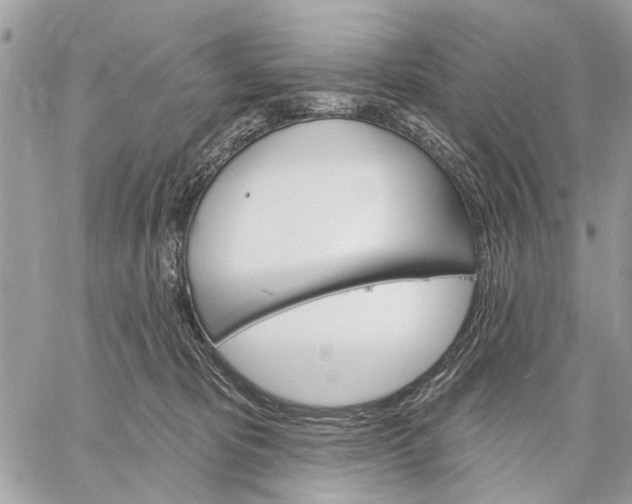 X0000059060325200510281639