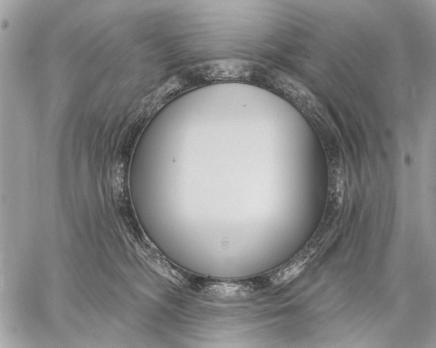 X0000059060326200510281639