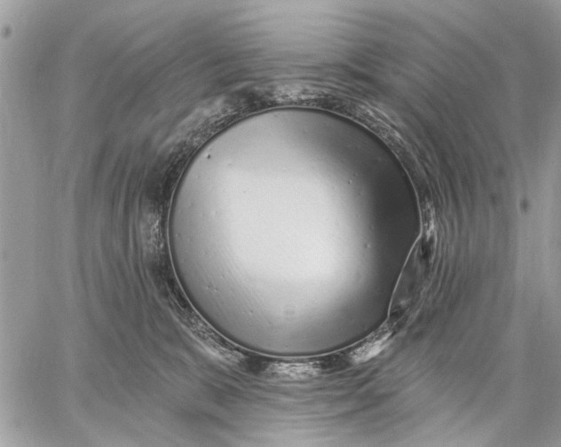 X0000059060327200510281639