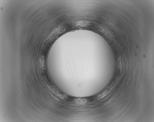 X0000059060328200510281639