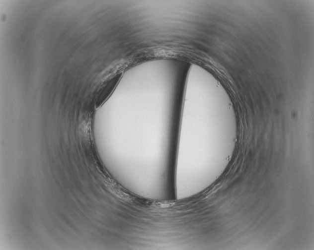 X0000059060329200510281639