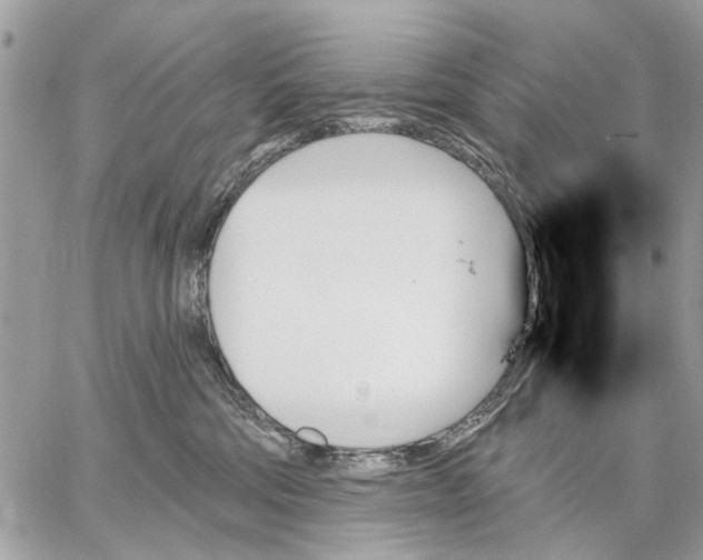 X0000059060330200510281639