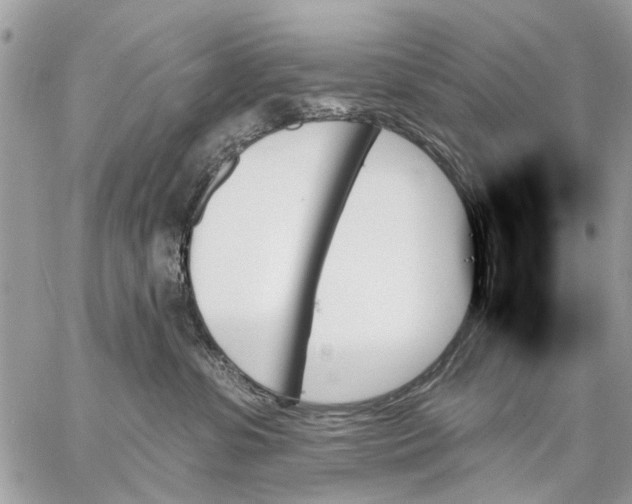 X0000059060331200510281639