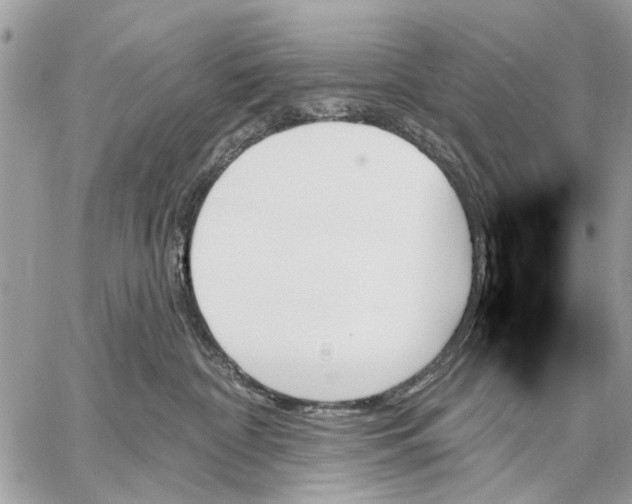 X0000059060332200510281639