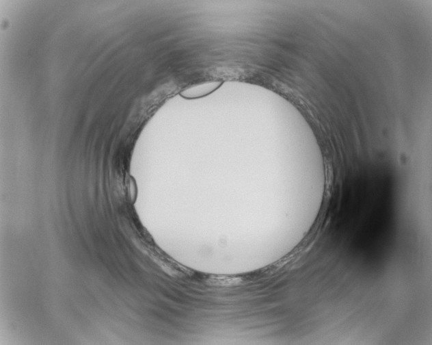 X0000059060334200510281639