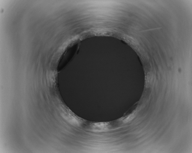 X0000059060335200510281639