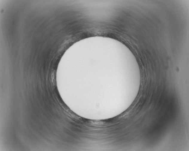 X0000059060336200510281639