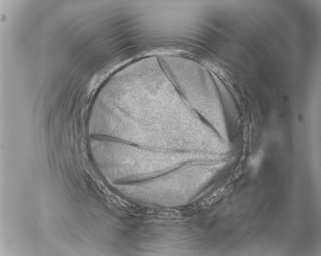 X0000059060337200510281638