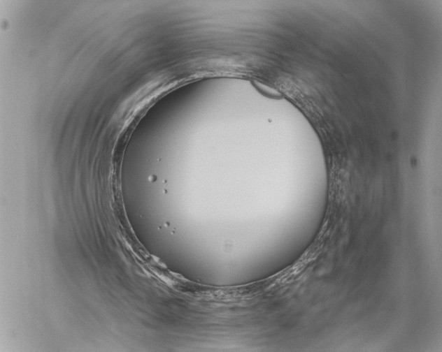 X0000059060338200510281638