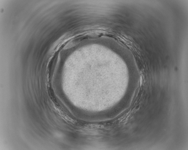 X0000059060339200510281638