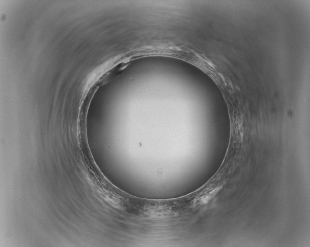 X0000059060340200510281638