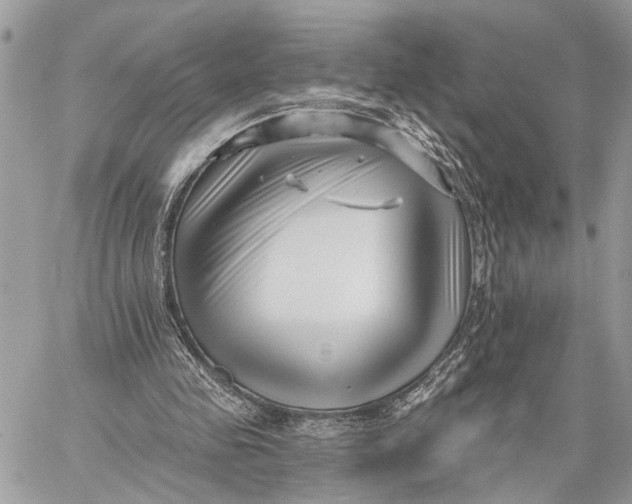 X0000059060341200510281638