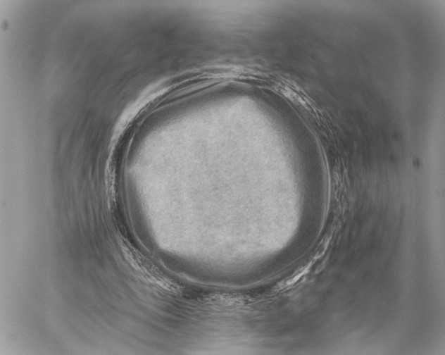 X0000059060343200510281638