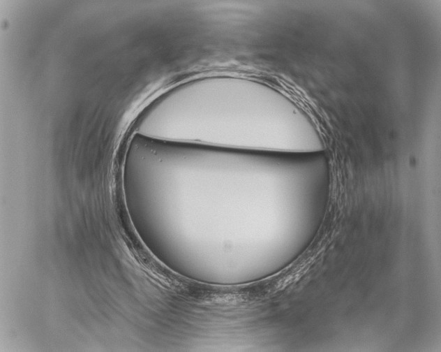 X0000059060344200510281638