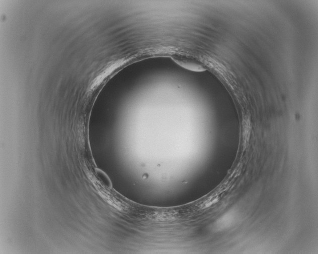 X0000059060345200510281638