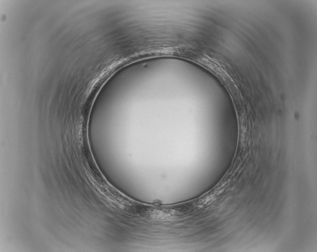 X0000059060346200510281638