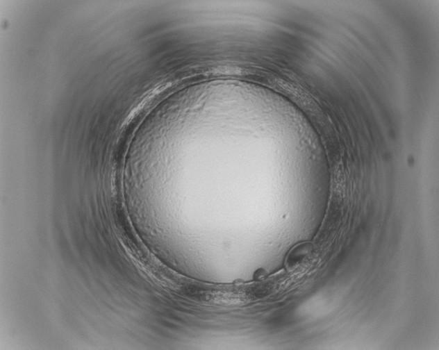 X0000059060347200510281638