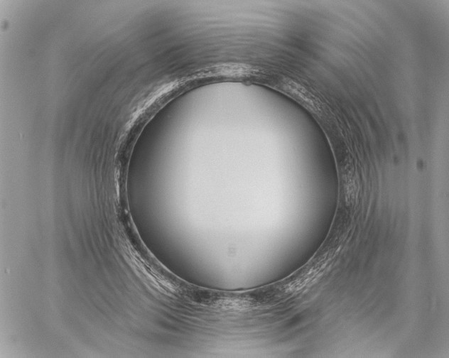 X0000059060350200510281638